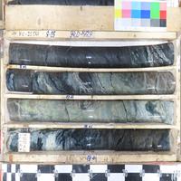 Dataset Image