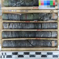 Dataset Image