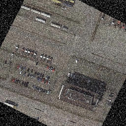 Dataset Image