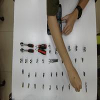 Dataset Image