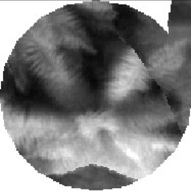 Dataset Image