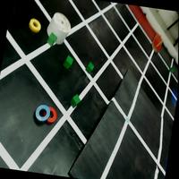 Dataset Image