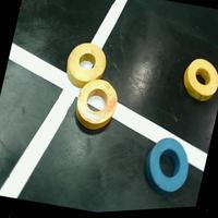 Dataset Image