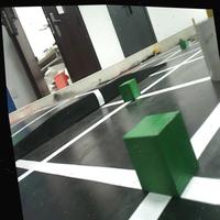 Dataset Image