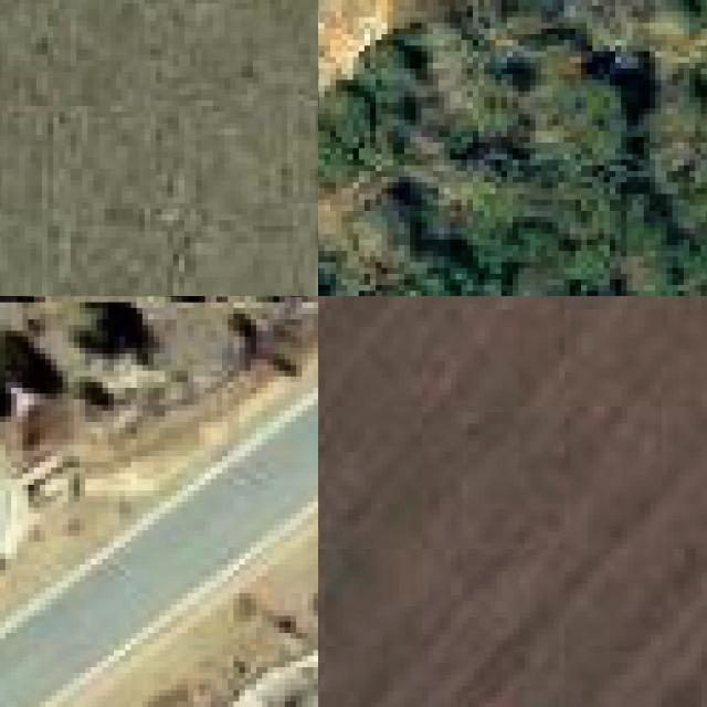 Dataset Image