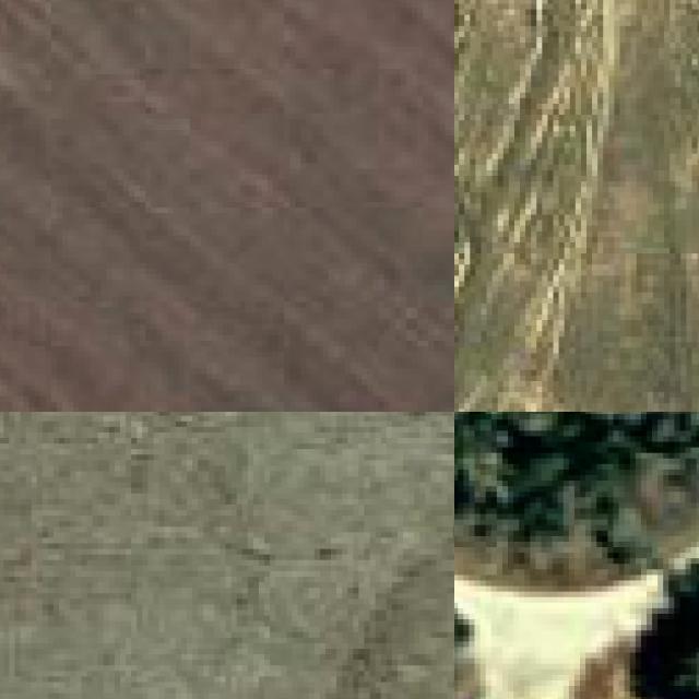 Dataset Image