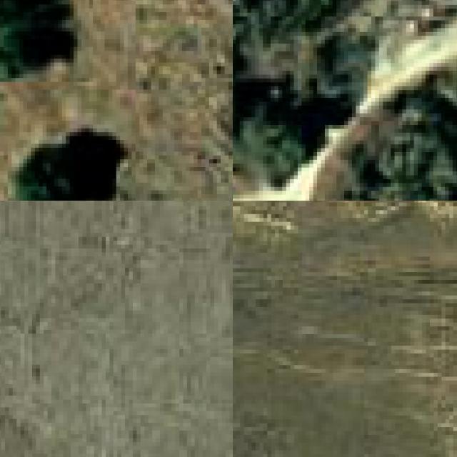 Dataset Image