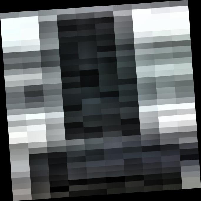 Dataset Image