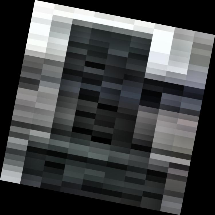 Dataset Image