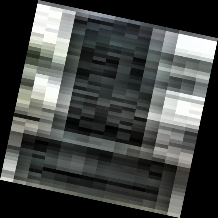 Dataset Image