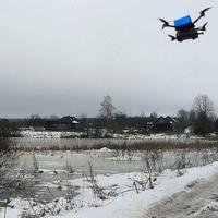 Dataset Image