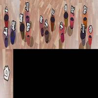 Dataset Image