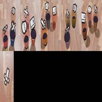 Dataset Image