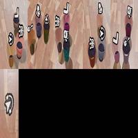 Dataset Image