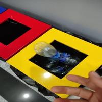 Dataset Image