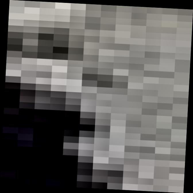 Dataset Image