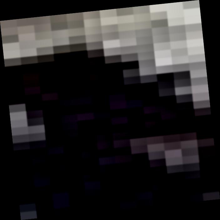 Dataset Image