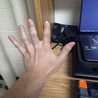 Dataset Image
