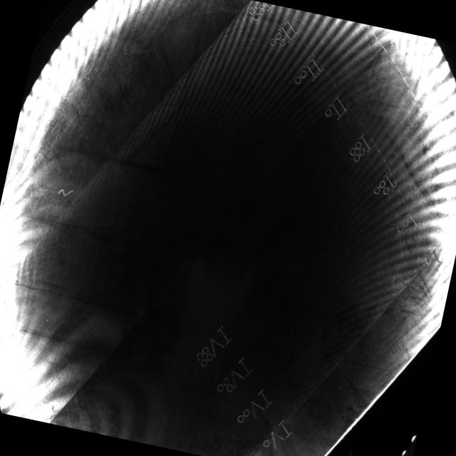 Dataset Image