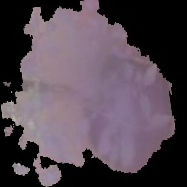 Dataset Image