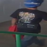 Dataset Image