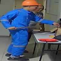 Dataset Image