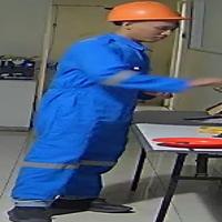 Dataset Image