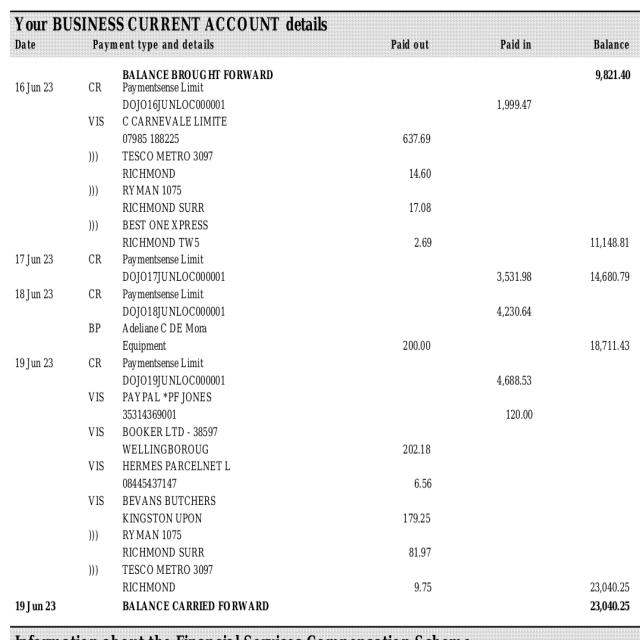 Dataset Image