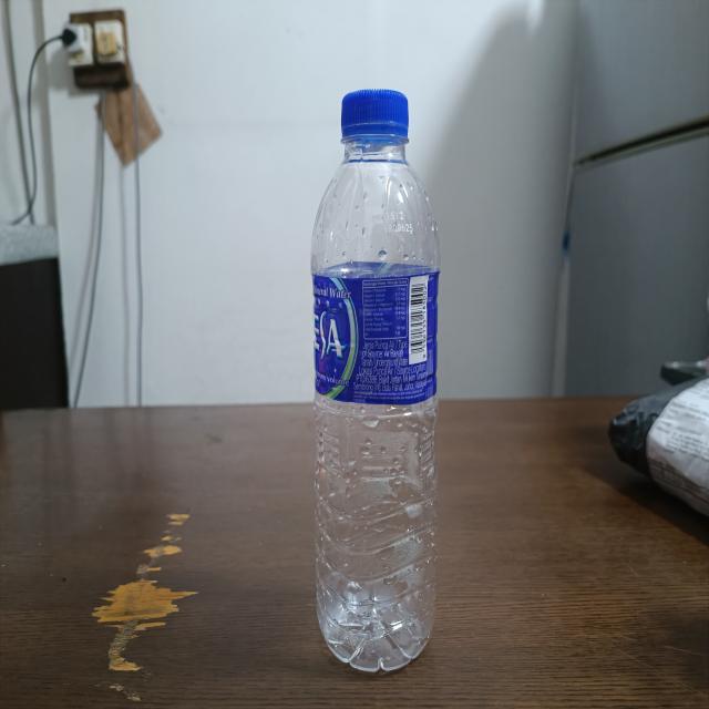 Dataset Image