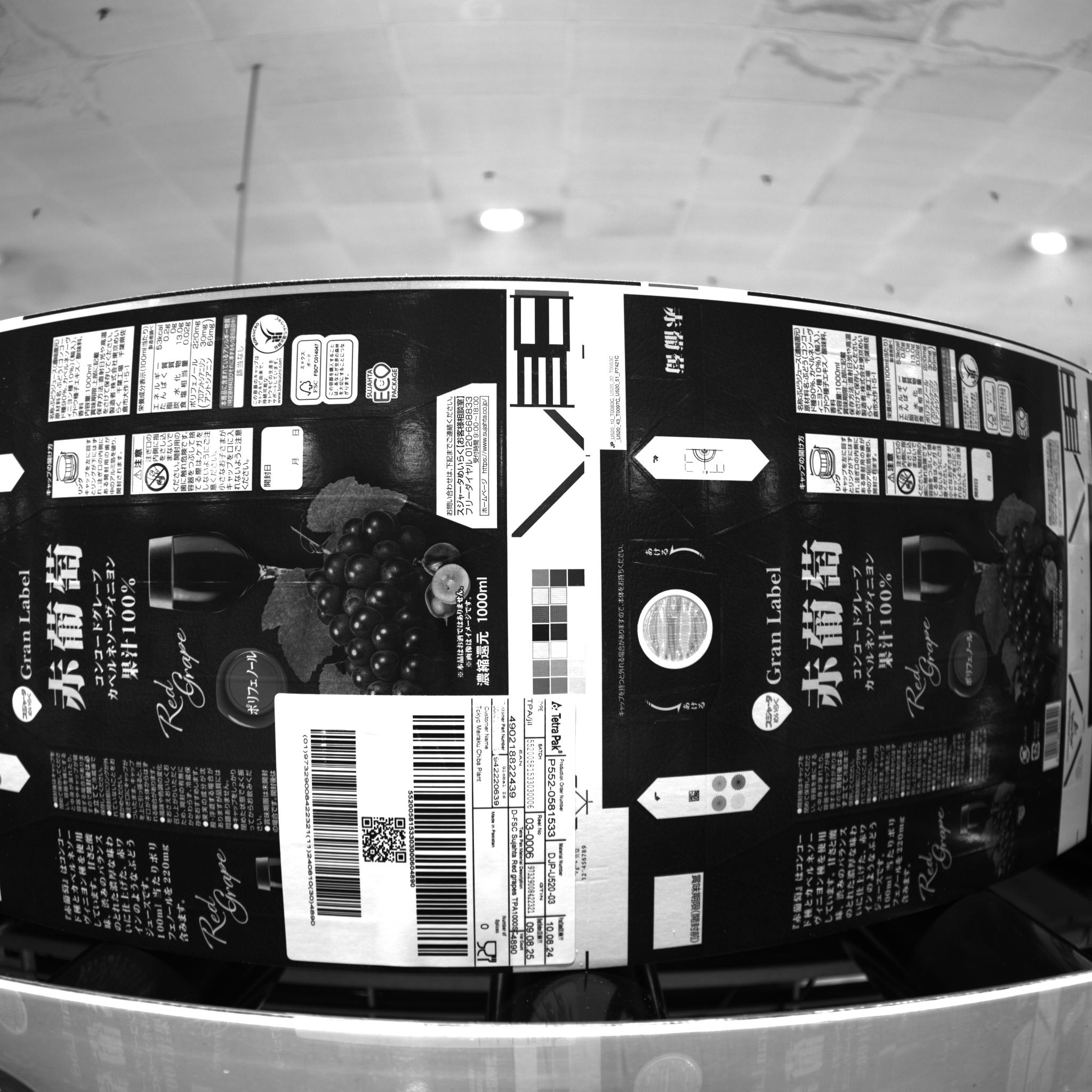 Dataset Image
