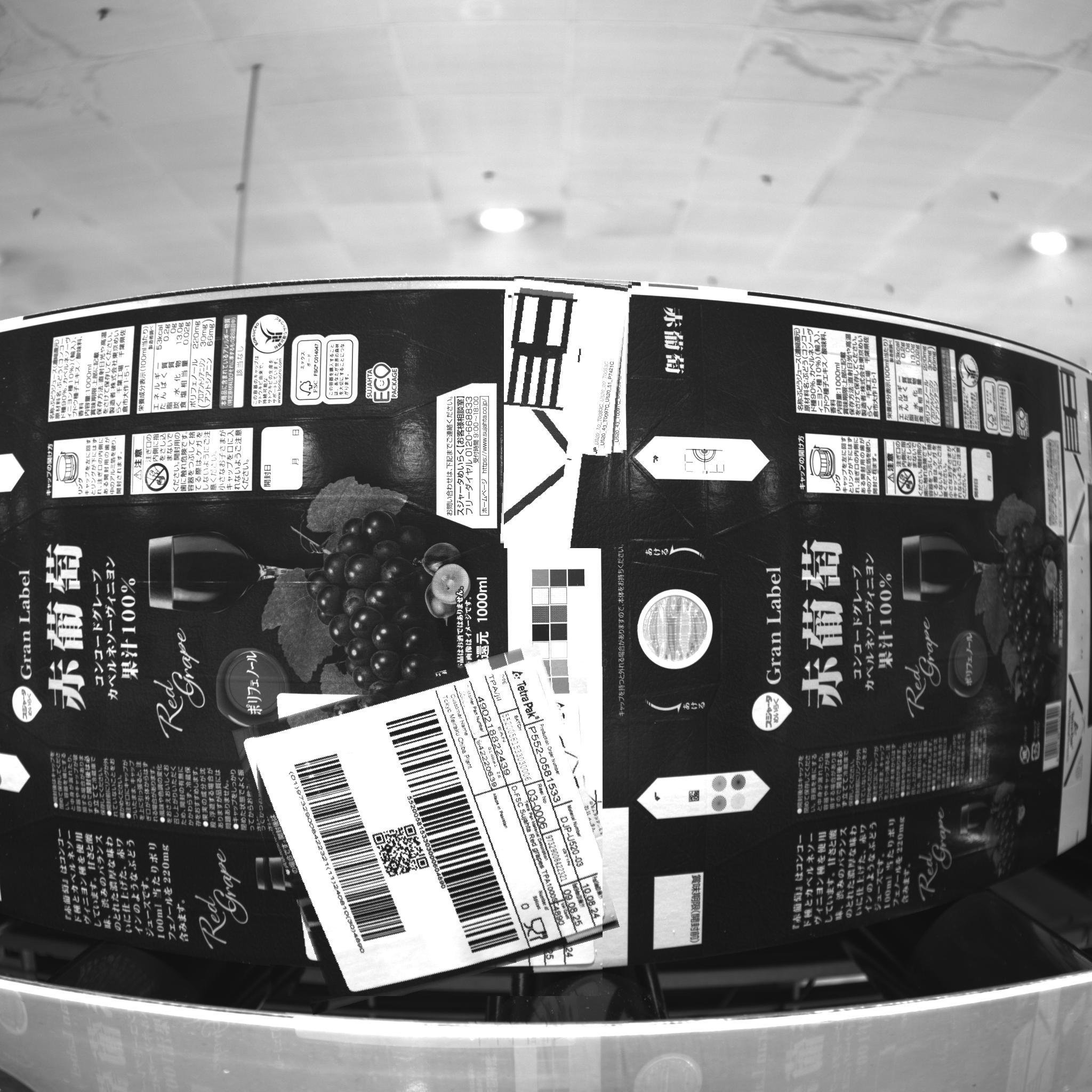 Dataset Image