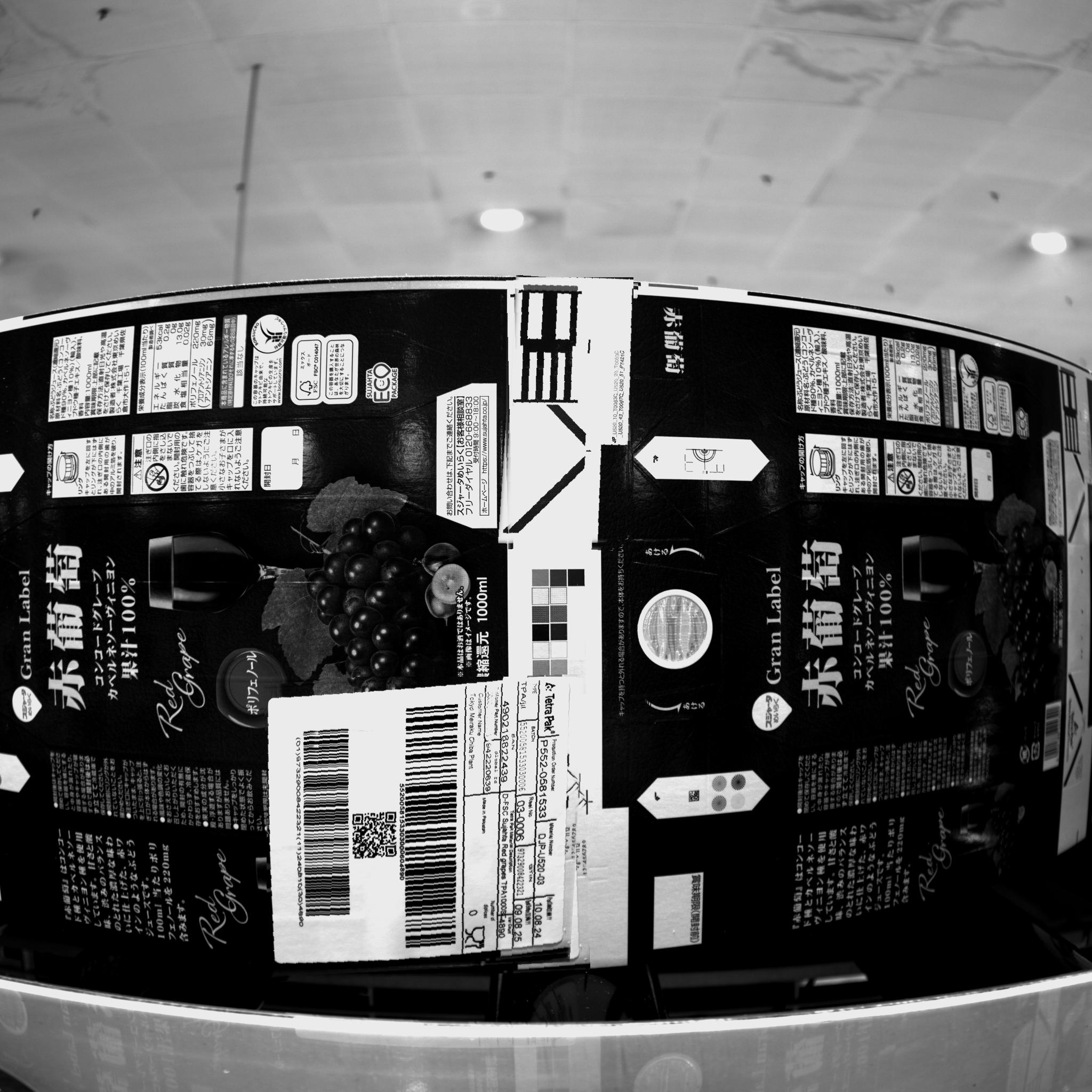 Dataset Image