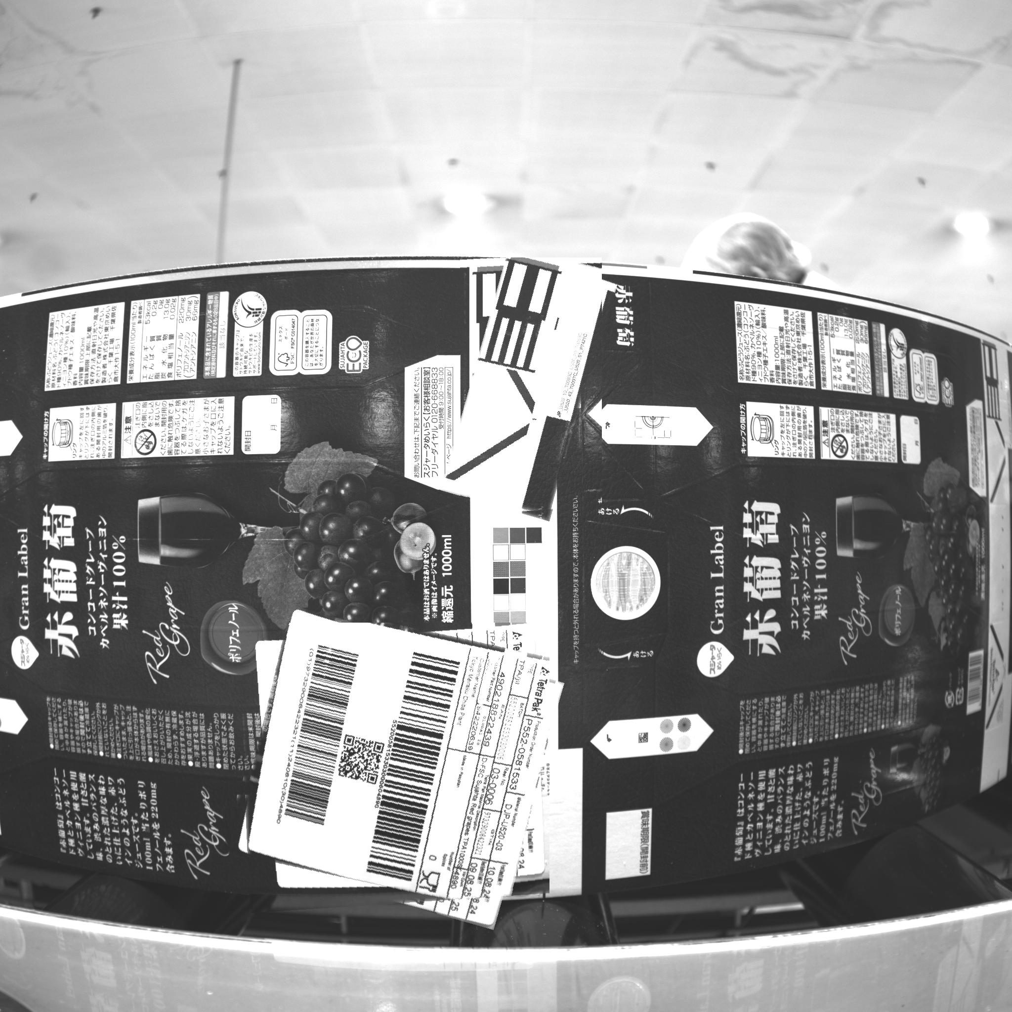 Dataset Image