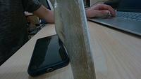 Dataset Image