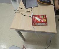 Dataset Image