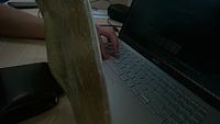 Dataset Image