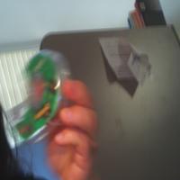 Dataset Image