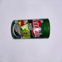 Dataset Image