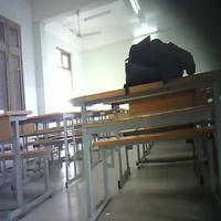 Dataset Image