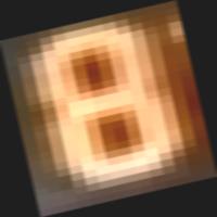 Dataset Image