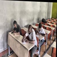 Dataset Image