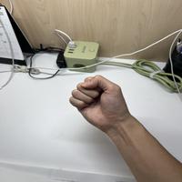Dataset Image
