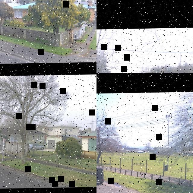 Dataset Image