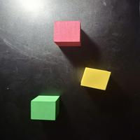 Dataset Image