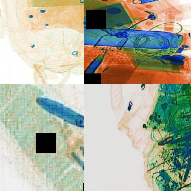 Dataset Image