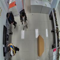 Dataset Image