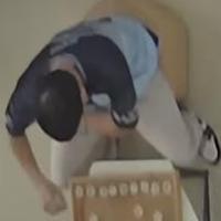 Dataset Image