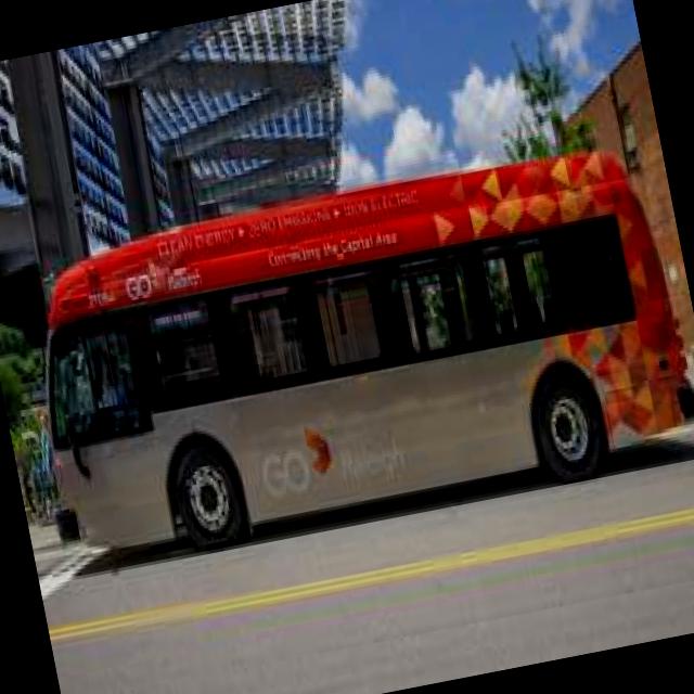 Dataset Image