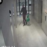 Dataset Image