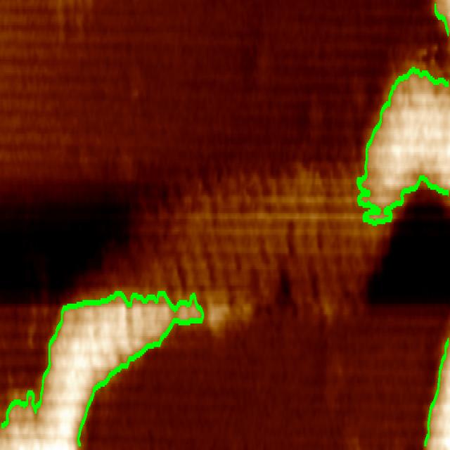 Dataset Image